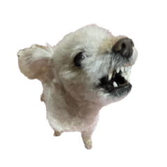 Suichansutanpu