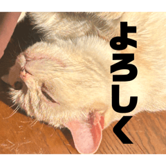 sakura_20240401133140