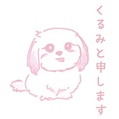 Shih Tzu kurukurukurumi dairly stamp