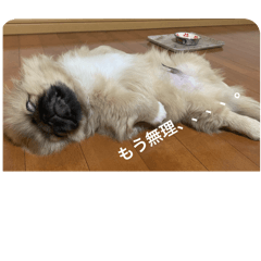 michiko_20240401111410
