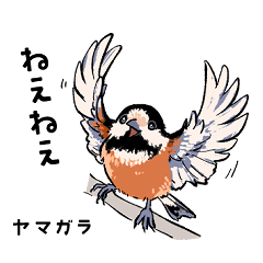 wild birds by CARO-chan