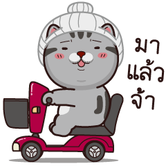วีต้าแมวป่วน ฉบับเกรียน