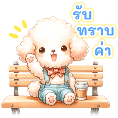 Toy poodles every day(thai)