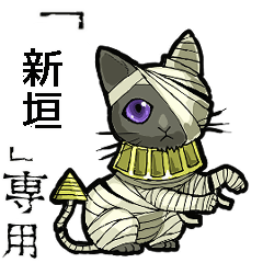 Mummycat Name aragaki Animation