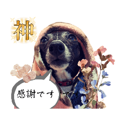 ぎゅうからのメッセージ