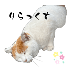 Sakura_20240401193210