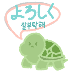 Cute little turtle 2