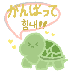 Cute little turtle 1