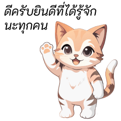 bright cute cat stickers