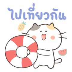 Uma's cat: Tofu in summer