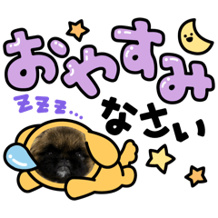 YURI_20240401223015