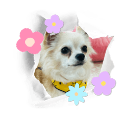 rui_20240401220003