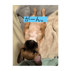 seira._20240402155146