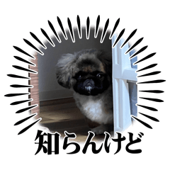 YURI_20240402210320