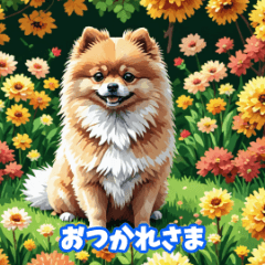 Cute Pomeranian Stickers2