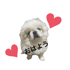 michiko_20240402222800
