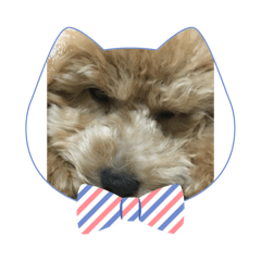 SAKURA_20240402204607