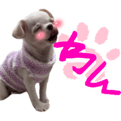 ton_20240402223334