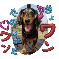 yuuki5351_20240402213338