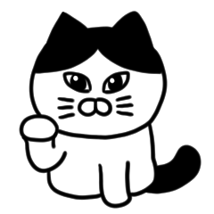 Cool black and white cat 1