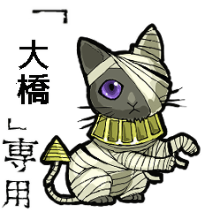 Mummycat Name Ohhashi Animation
