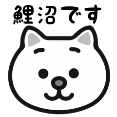 Koinuma white cats sticker