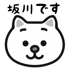 Sakagawa white cats sticker