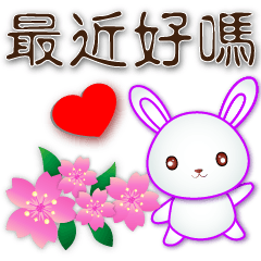 可愛白兔-開心實用*.*