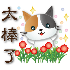可愛花貓 簡約日常用語