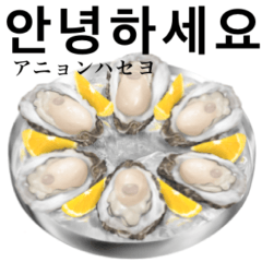 牡蠣 です　刺身用　【韓国語】
