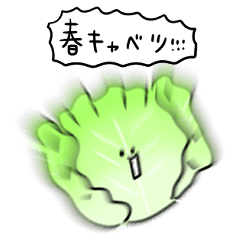 simple spring cabbage Daily conversation