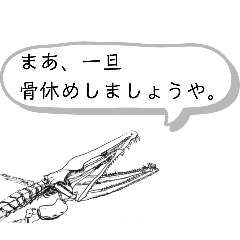 Skeleton maker_HONExHONE CLUB