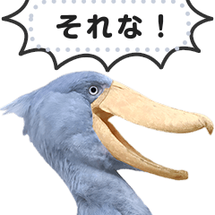 Greetings with a shoebill stork