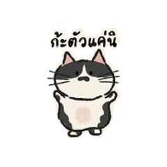 PRINGLE CAT: Jiew Jiew