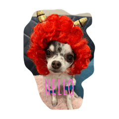 chico._20240403175140