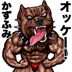 Kazuhumi dedicated Muscle macho animal