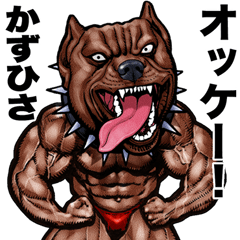 Kazuhisa dedicated Muscle macho animal
