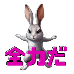 A rabbit with a lot of motivation