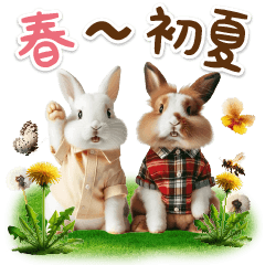 spring & early summer rabbit