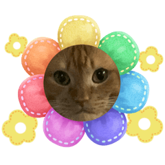 きのしたよしみ