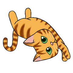 Red tabby cat daily life