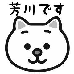 Yoshikawa white cats sticker