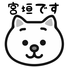 Miyagaki white cats sticker