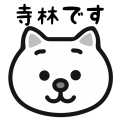 Terabayashi white cats sticker
