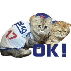 doramimi_20240404032645