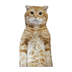 doramimi_20240404034522