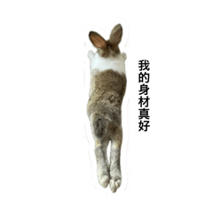 黑糖饅頭兔兔