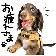 MUJI-dachshund Sticker