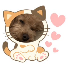 SAKURA_20240404154713