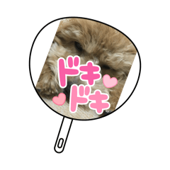 SAKURA_20240404201303